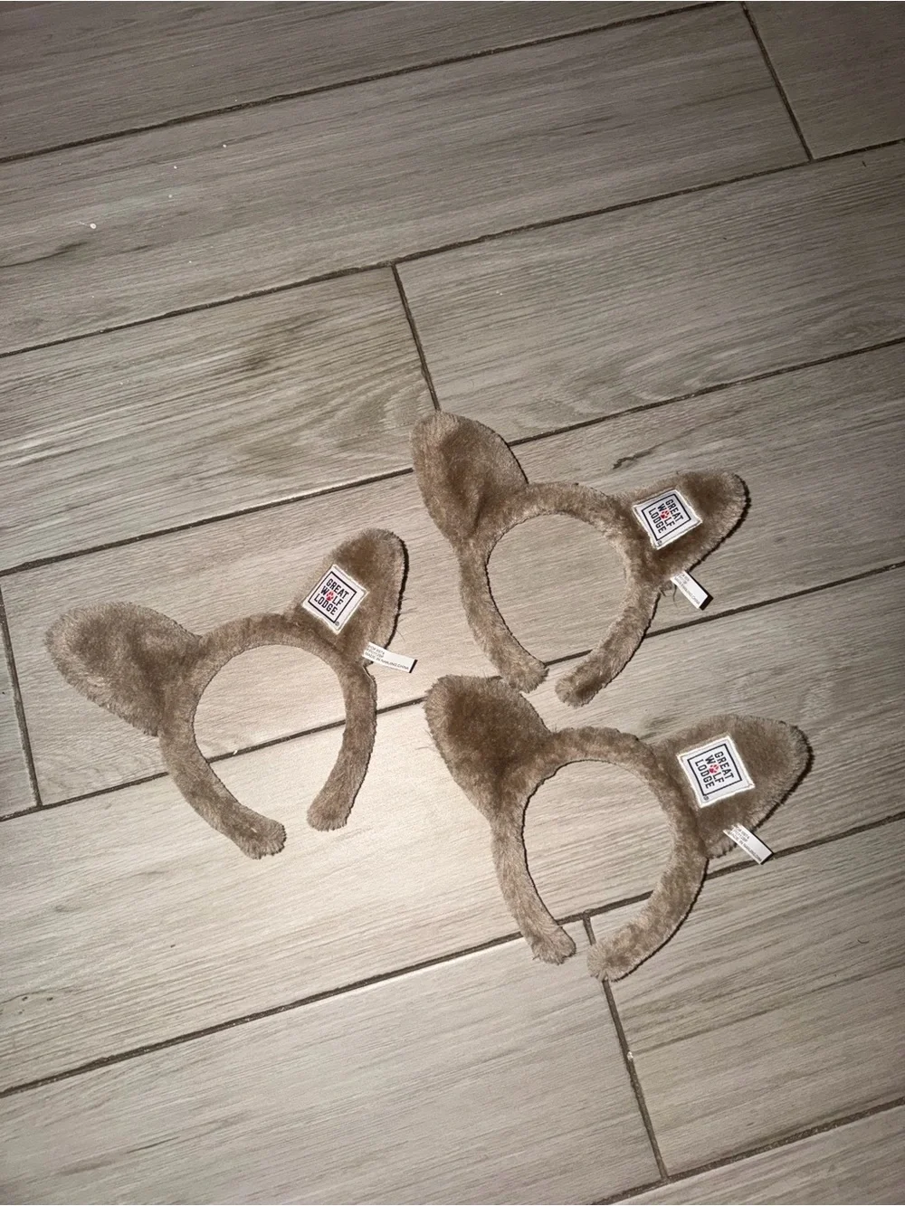 3 Great Wolf Lodge Ears